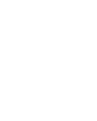Busra Cundioglu PLLC